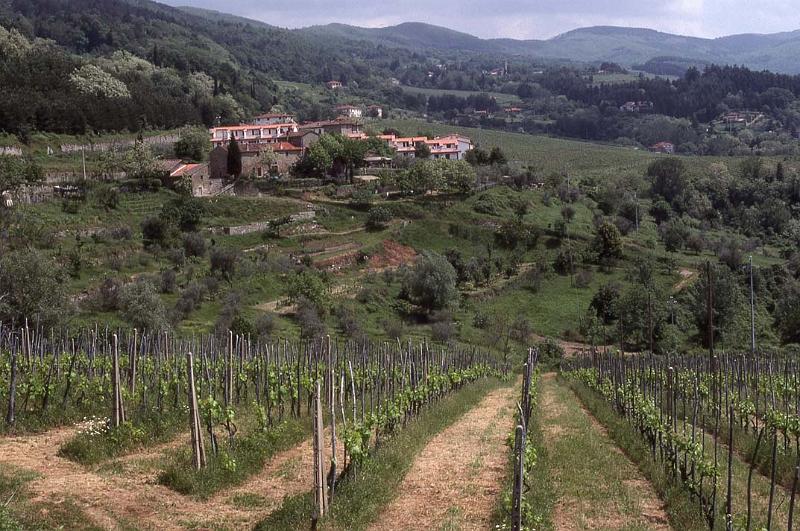 Italy 99 Tuscan Hills 2.jpg